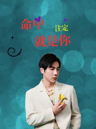 命中注定就是你