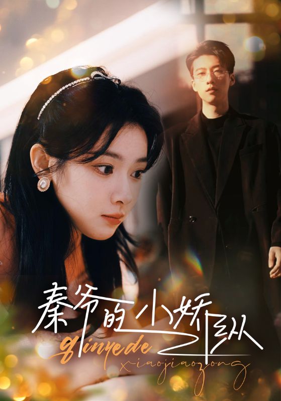 王牌保镖之疾速追击