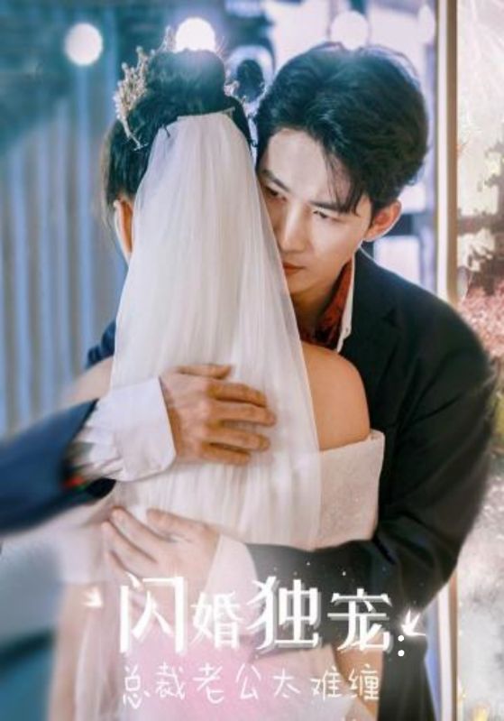 开往名古屋的末班列车