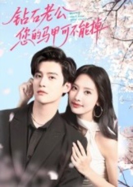 钻石老公，您的马甲不能掉