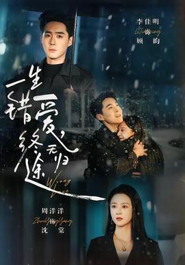 一生错爱，终无归途