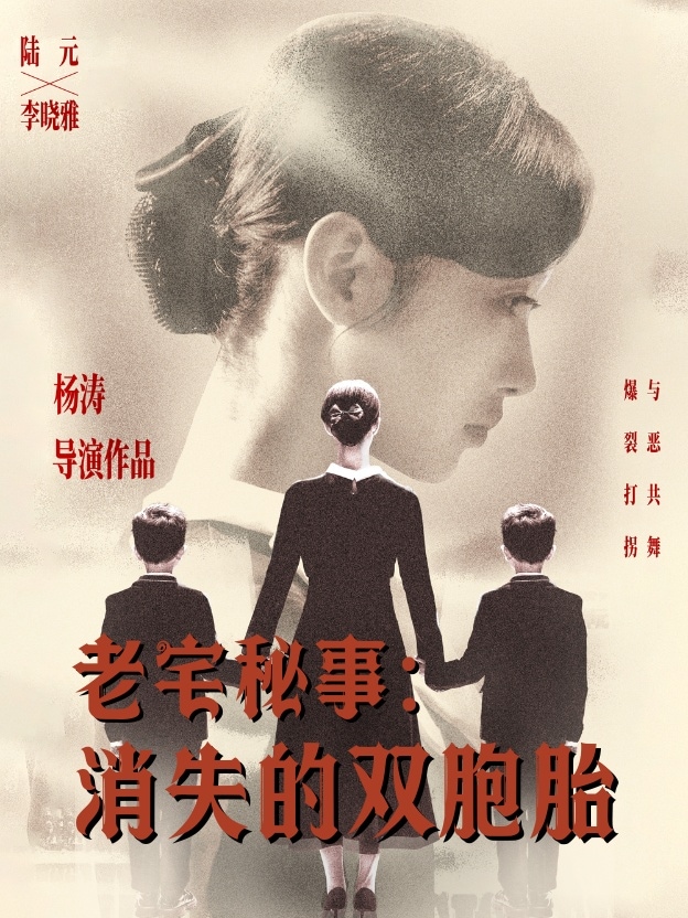 老宅秘事消失的双胞胎