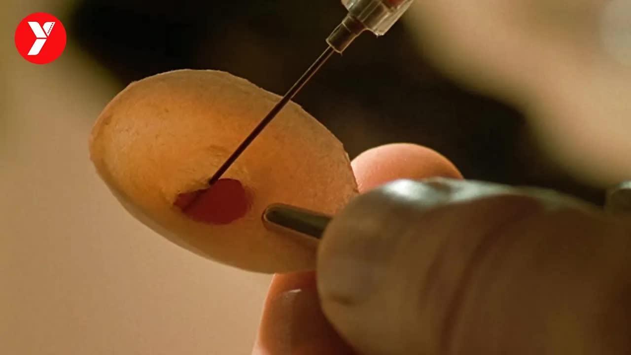 【越哥】到处都是天才的世界里，基因不好的“下等人”如何逆天改命？