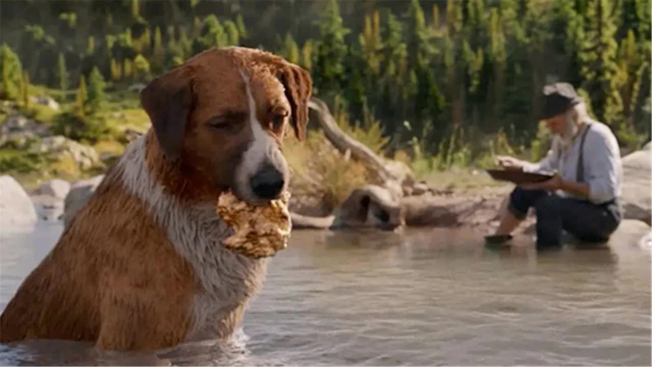 老人发现淘金地，随便一捞就是一块大金子，狗都来帮忙了！