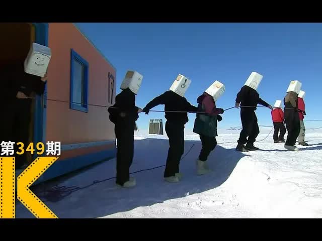 为什么南极能吸引这么多优秀的人？《在世界尽头相遇》看电影了没